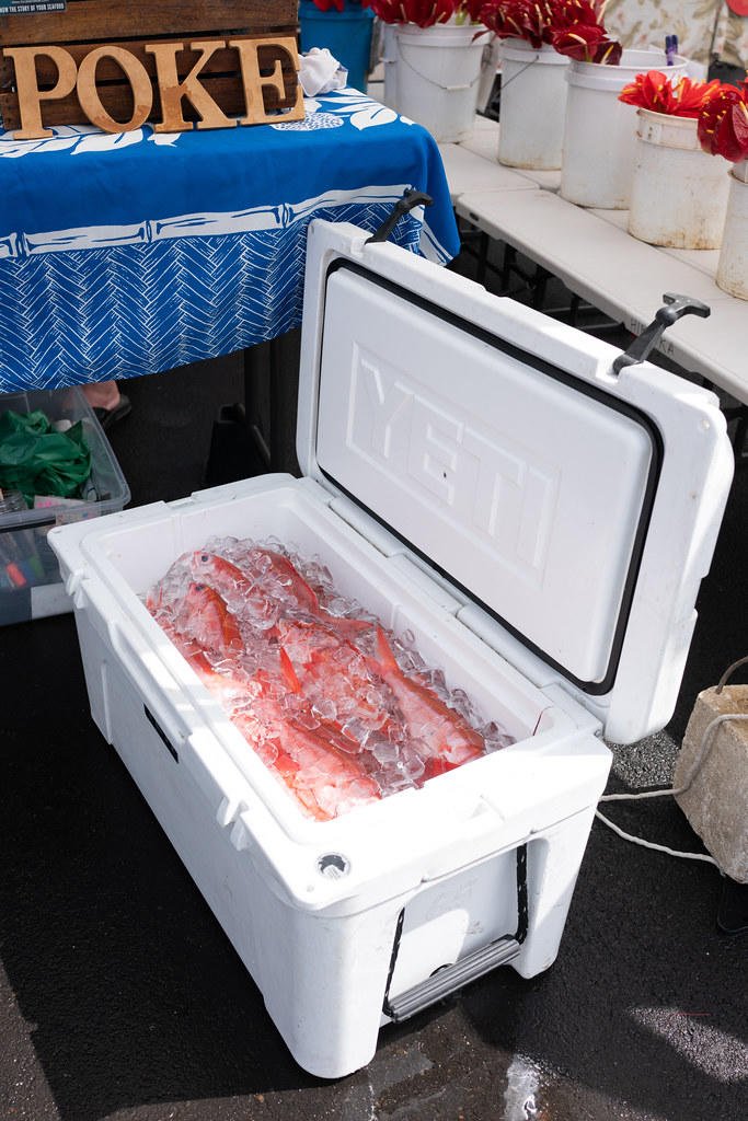 A cooler full of fresh fish from Local I'a
