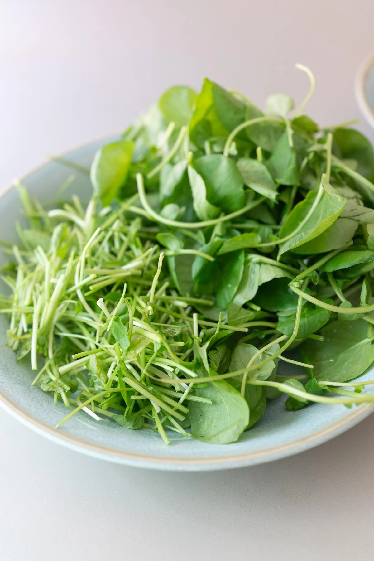 Fresh watercress stems and leaves