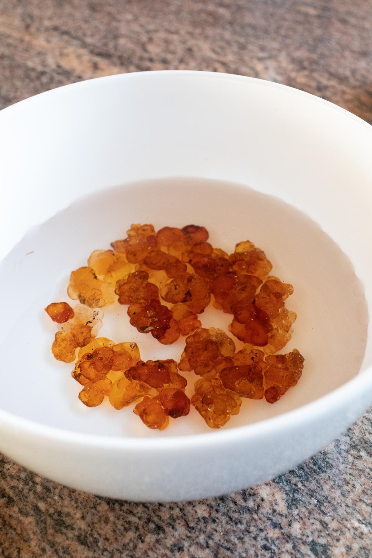 Soaking peach gum in a bowl of water to rehydrate.