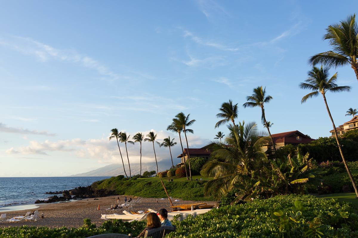 The afternoon palm trees, beach, and ocean shore in Wailea, Maui.