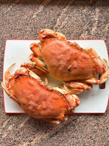 Steamed Dungeness crabs.