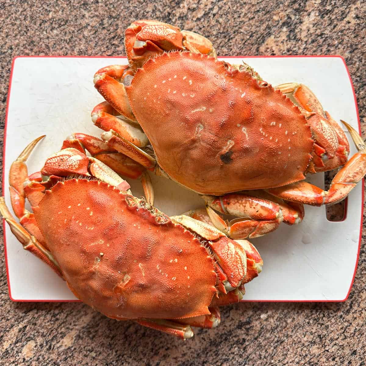 Steamed Dungeness crabs.