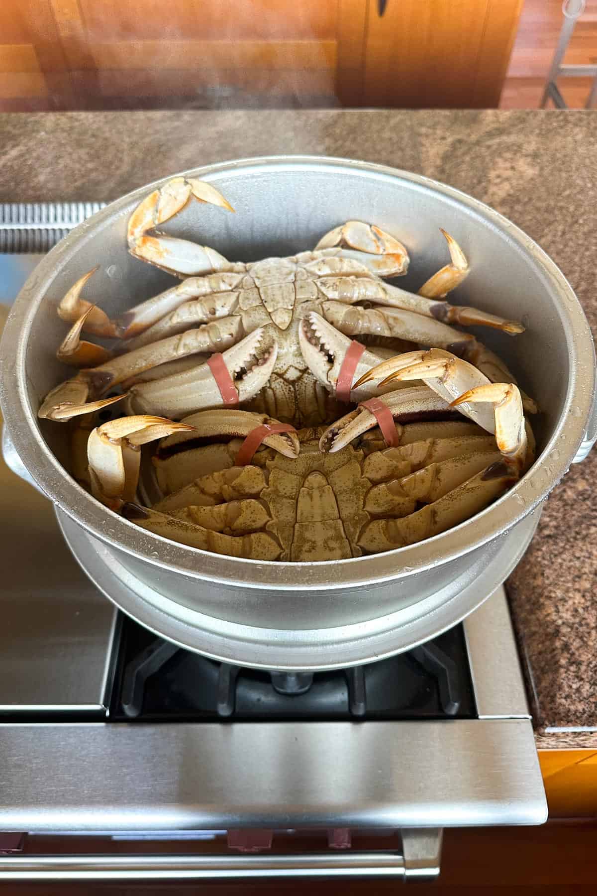 Steaming fresh Dungeness crabs.