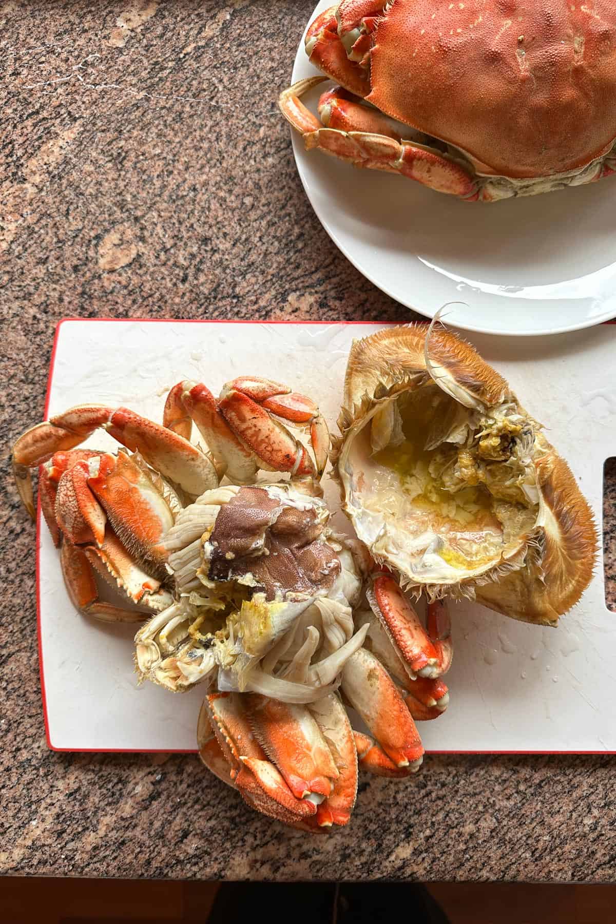 Breaking apart fresh steamed Dungeness crabs.