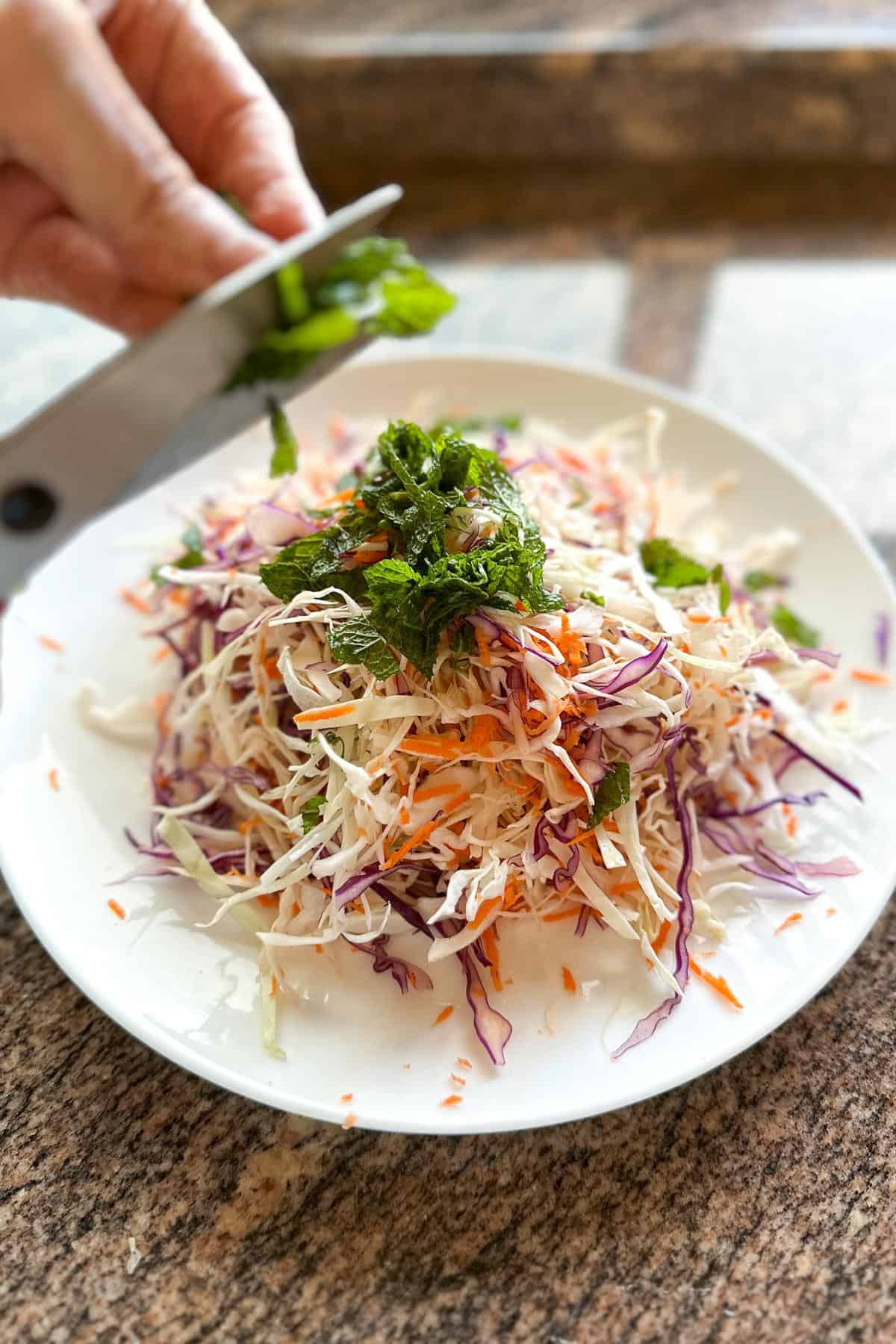 Assembling a dish of Vietnamese Salad.