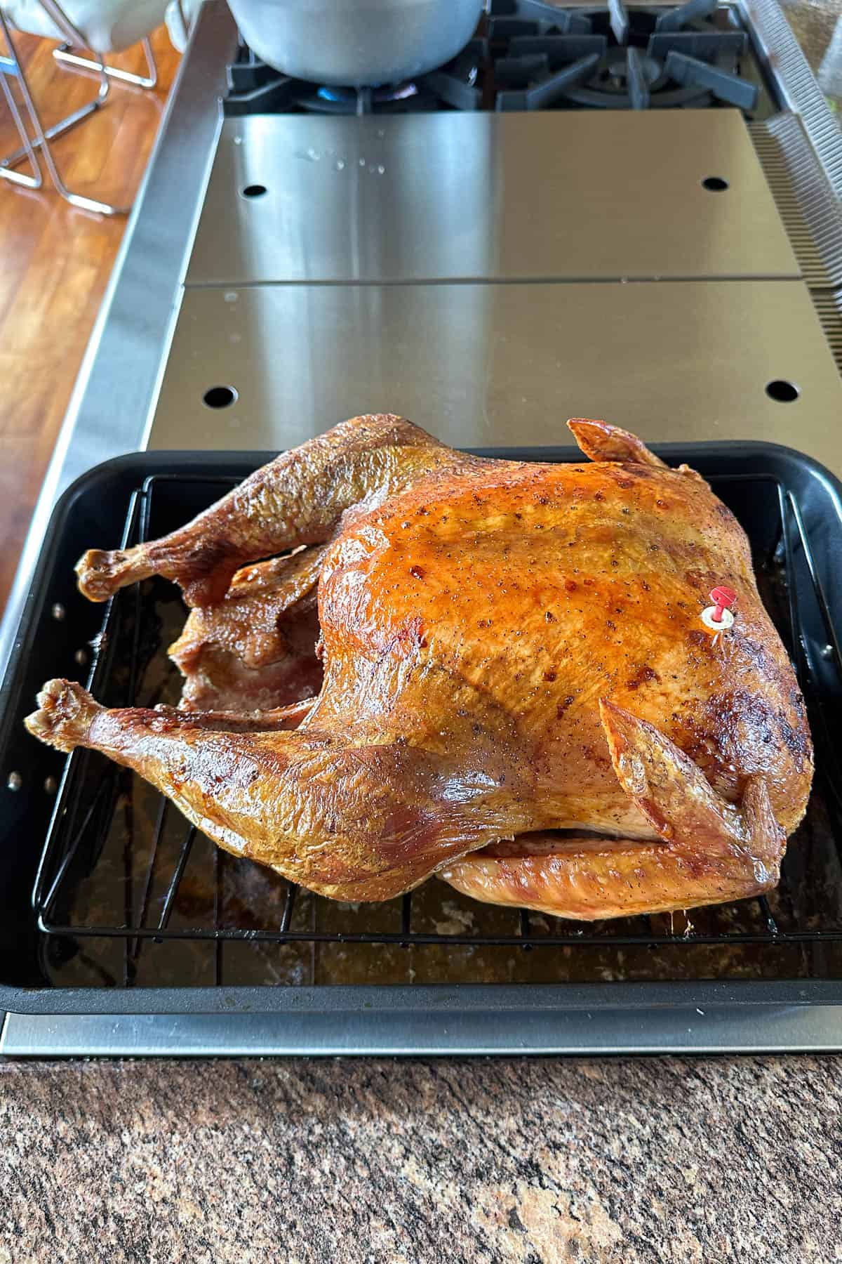 Whole roasted turkey.