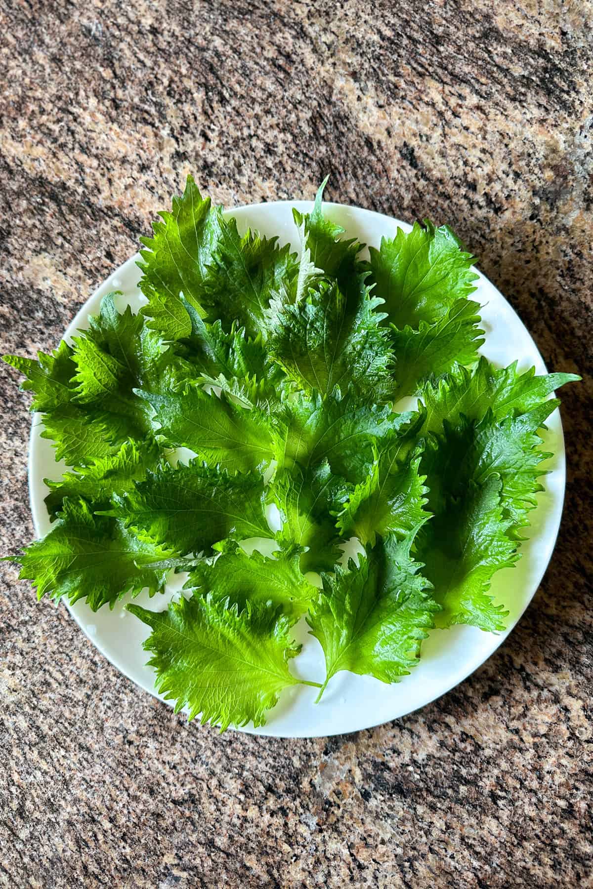 A plate of shiso leaves.