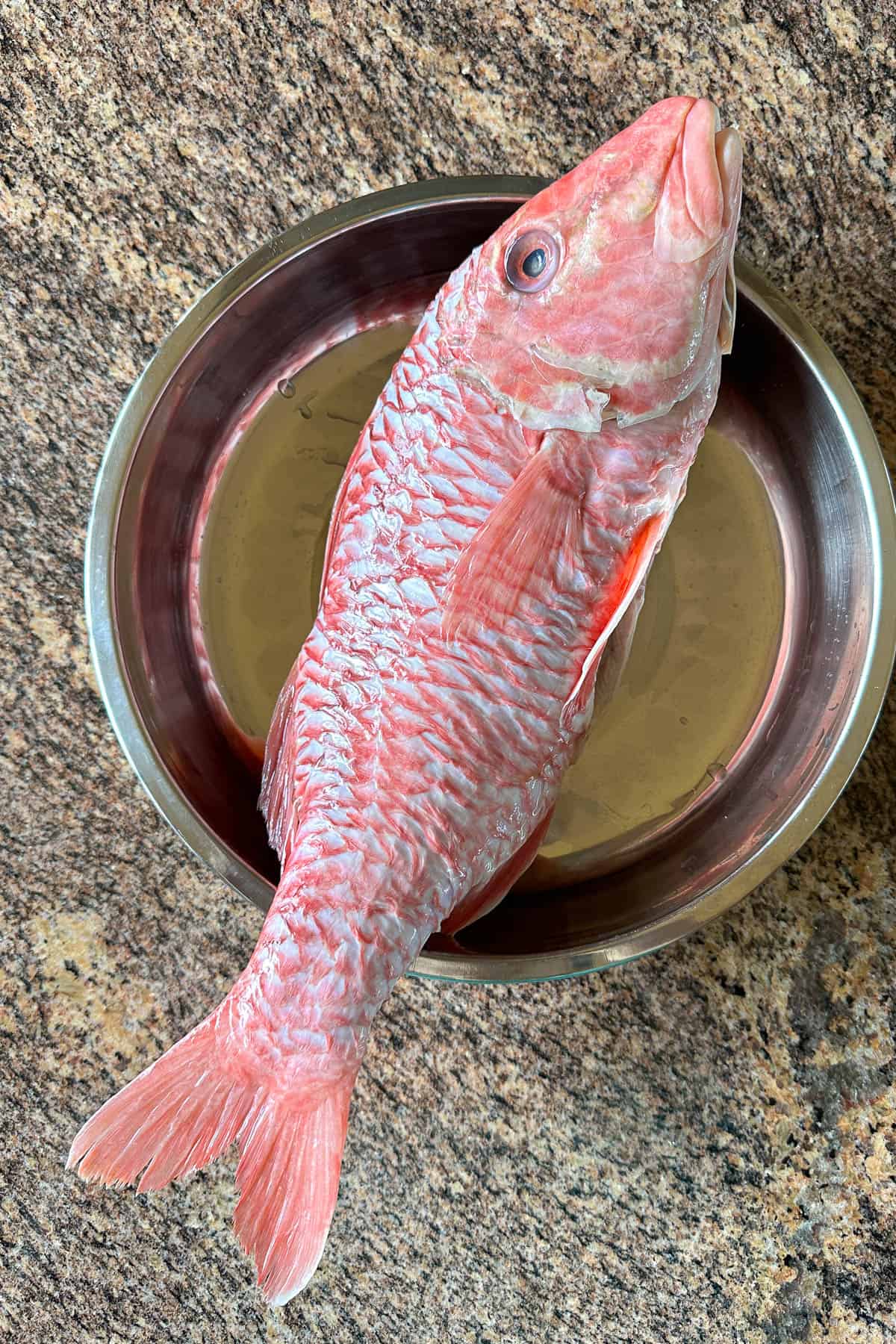 Kumu fish (white-saddle goat fish).