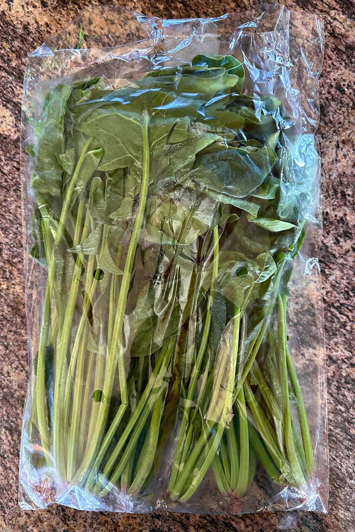 Taiwan Spinach.