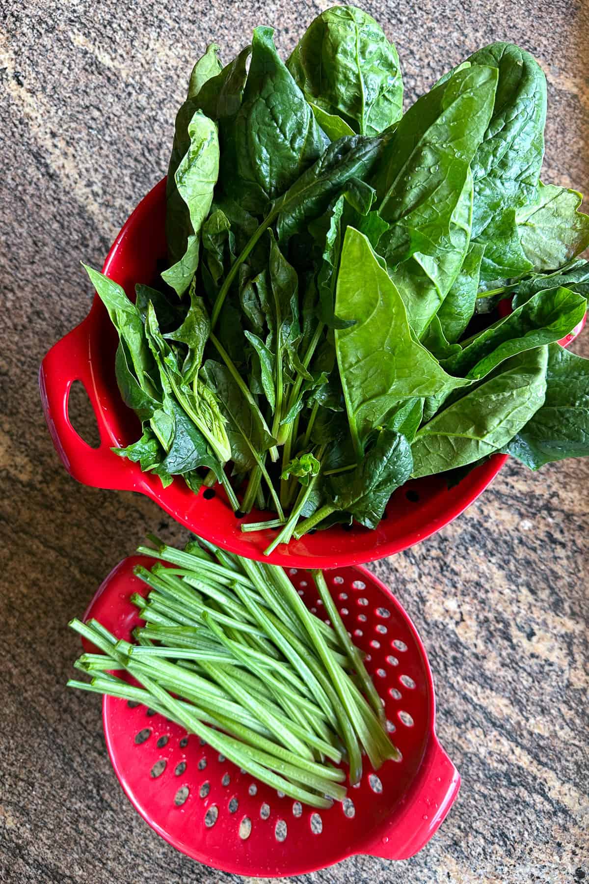 Taiwan Spinach.