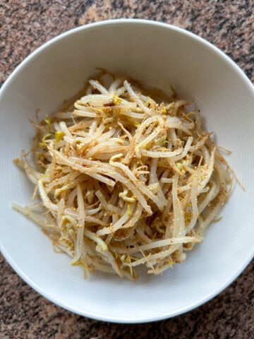 Moyashi Japanese Bean Sprouts.