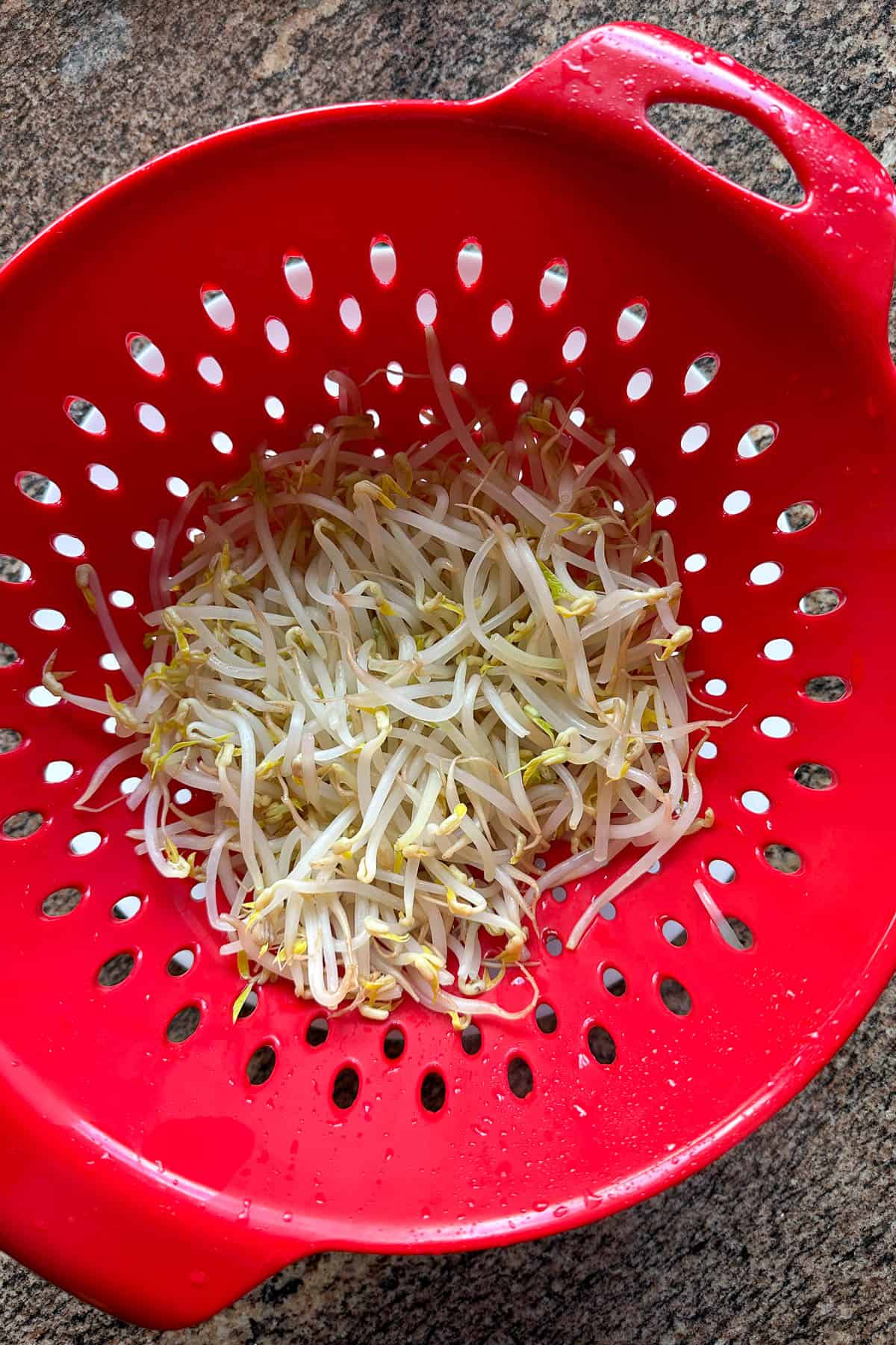 Moyashi Japanese Bean Sprouts.