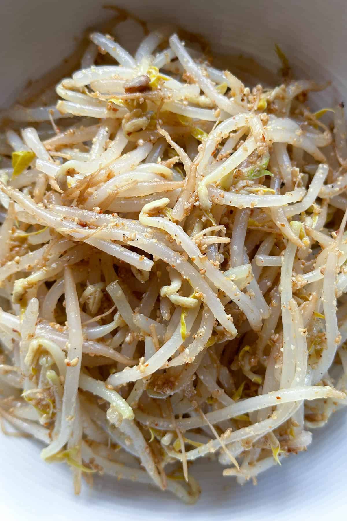 Moyashi Japanese Bean Sprouts.