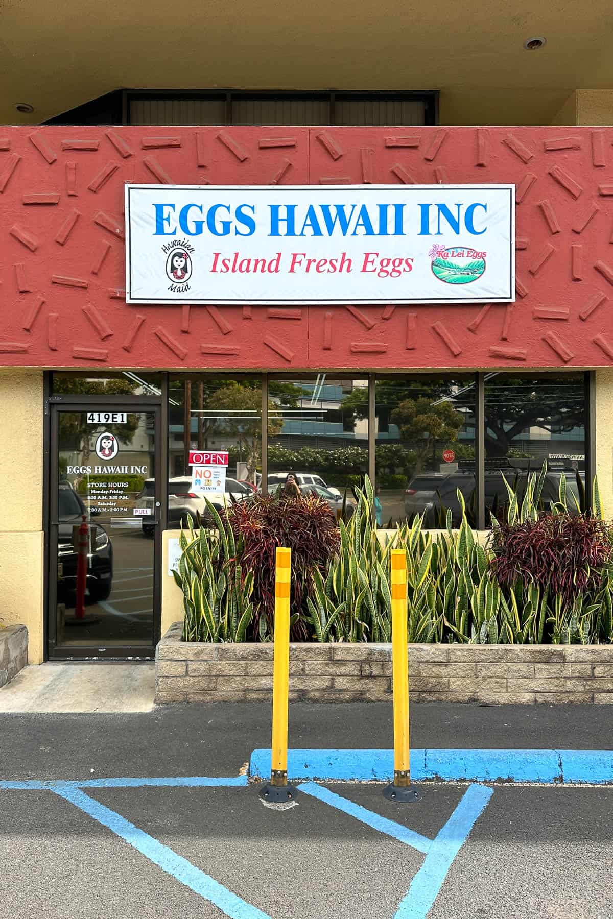 Eggs Hawaii / Ka Lei Eggs (Oahu) - Onolicious Hawaiʻi