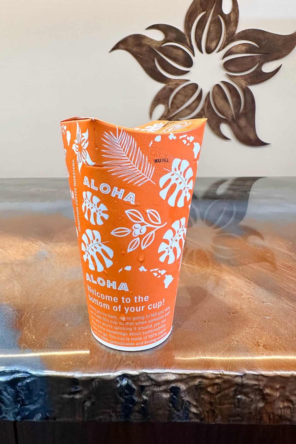 Tradition Coffee Roasters to-go drink.