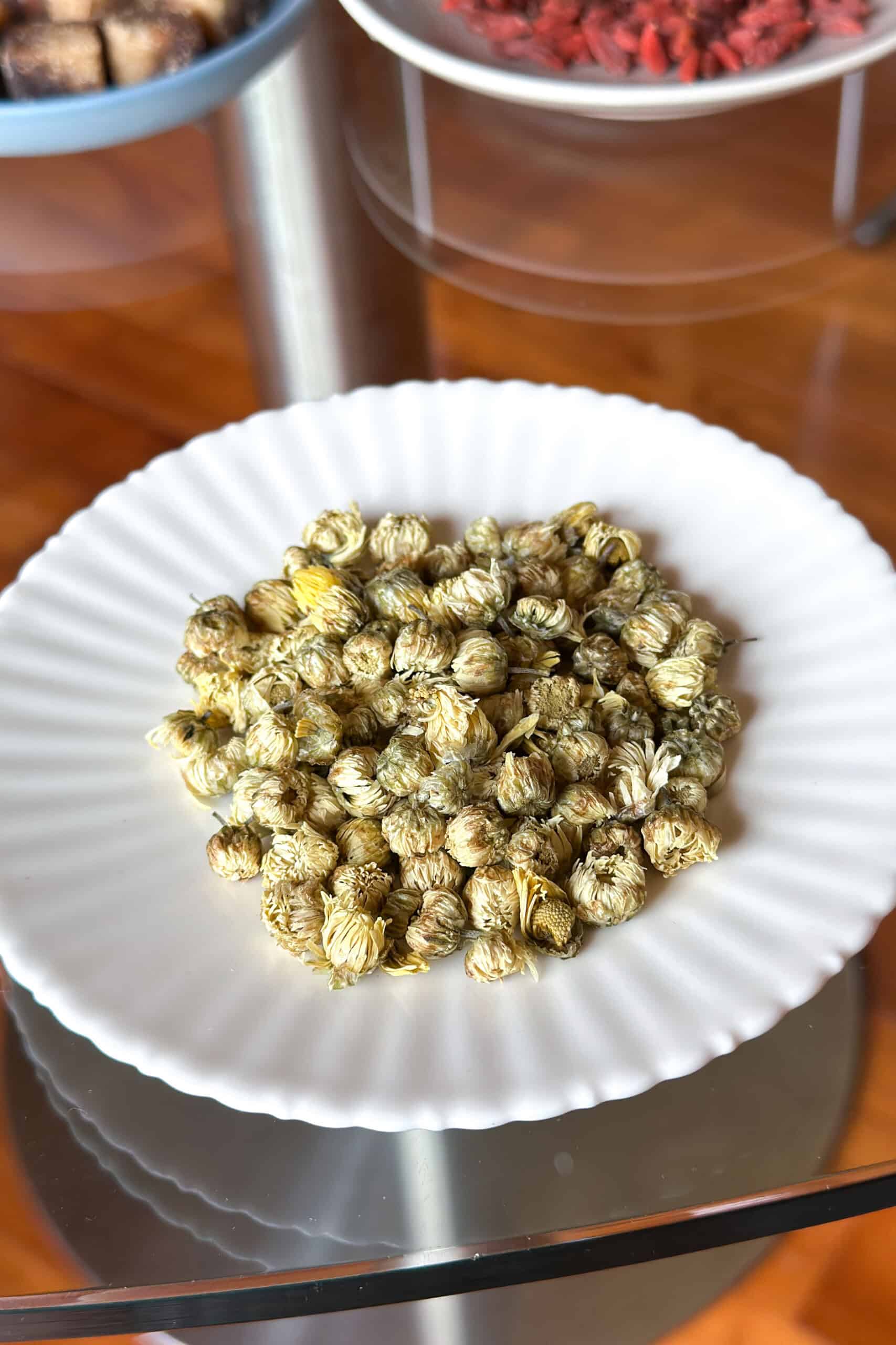 Chrysanthemum Buds
